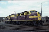 NSW 421 class 42106 (05.10.1980, Enfield)