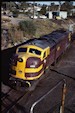 NSW 421 class 42109 (07.04.1981, Albury)