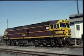 NSW 422 class 42202 (28.09.1980, Enfield)