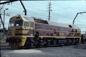 NSW 422 class 42220 (24.08.1980, Enfield)