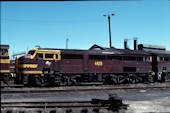NSW 44 class  4429 (21.09.1980, Enfield)
