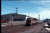 NSW 44 class  4439 (02.11.1986, Bathurot, (mit 8041))