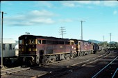 NSW 44 class  4448 (20.04.1979, Werris Creek, (mit 44234))