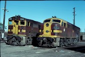 NSW 44 class  4452 (13.04.1980, Broadmeadow)