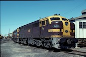 NSW 44 class  4456 (21.09.1980, Enfield)