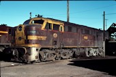 NSW 44 class  4460 (10.05.1981, Broadmeadow)