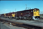 NSW 44 class  4465 (08.06.1980, Enfield)