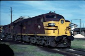 NSW 44 class  4469 (13.02.1980, Broadmeadow)