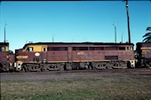 NSW 44 class  4492 (10.05.1981, Broadmeadow)