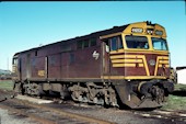 NSW 442 class 44202 (10.05.1981, Broadmeadow)