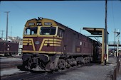 NSW 442 class 44237 (20.04.1981, Albury)