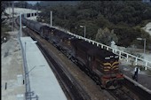 NSW 45 class  4533 (29.08.1982, Fassifern, (mit 4511 4537))