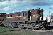 NSW 48 class  4864 (16.06.1980, Broadmeadow)