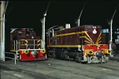 NSW 73 class 7335 (13.12.1980, Broadmeadow)