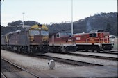 NSW 80 class 8016 (02.10.1986, Lithgow, (daneben 4464 und 4912))