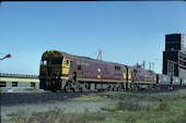 NSW 80 class 8016 (13.04.1980, Port Waratah, (mit 8014))