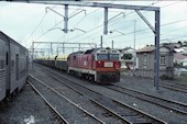 NSW 81 class 8151 (02.12.1985, Wollongong)