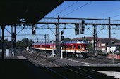 NSW 950 class 952 (26.05.1986, Strathfield)