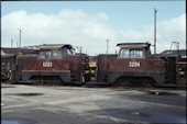 NSW X200 class  204 (27.07.1980, Enfield, mit X203)