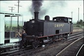 SMR 2-8-2T  10 (13.10.1978, East Greta Junction)