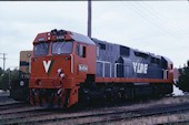 VL N 454 (31.12.1985, Wodongo)