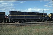 VR C 503 (26.01.1980, Melbourne)