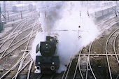 DB  50  622 (15.05.1989, München Hbf.)