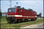 DB 143 130 (12.07.1991, Dessau, (als DR 243))