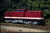 DB 201 868 (28.08.1991, Mehltheuer, (als DR 110))
