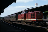 DB 202 255 (01.06.1991, Wildpark, (als DR 112))