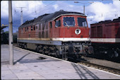 DB 232 339 (01.09.1993, Pasewalk)