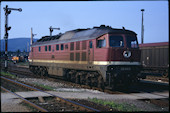 DB 232 462 (02.07.1991, Saalfeld, (als DR 132))