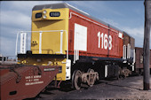 NZR DB 1168 (30.08.1980, Melbourne, auf Hilfsdrehgestellen)