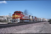 ATSF C44-9W  646 (21.03.1995, Oro Grande, CA)