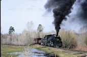 CTS 2-8-2 K-36  488 (05.1993, b. Yuke Tree)