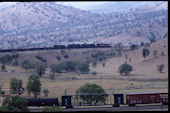 SP 4-fach   (17.04.1994, Techachapi Loop, CA)