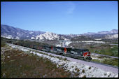 SP AC4400CW  331 (20.09.1996, Cajon 62, CA)