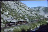 SP SD40T-2 5388:2 (22.06.1996, Nolan, UT)