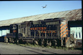 WP GP20 2001 (15.07.1981, Elko, NV)