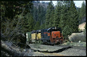 WP U23B 2253 (01.05.1981, Williams Loop, CA)